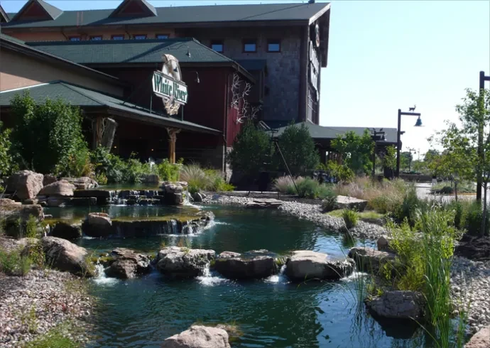 photo of water feature landscaping
